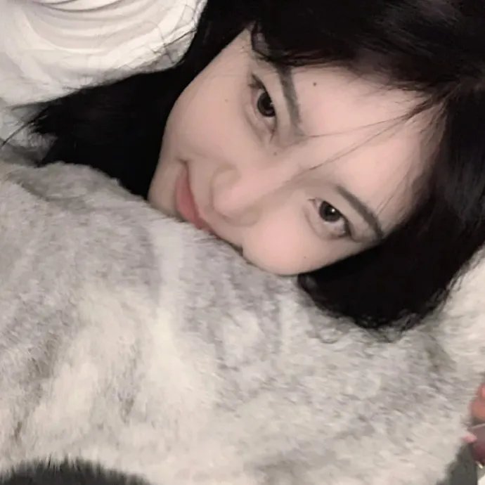 约会规则第五季